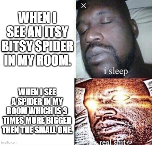 I'm actually pretty cool with small spiders but when it comes to much bigger ones then they give me the creeps | WHEN I SEE AN ITSY BITSY SPIDER IN MY ROOM. WHEN I SEE A SPIDER IN MY ROOM WHICH IS 3 TIMES MORE BIGGER THEN THE SMALL ONE. | image tagged in i sleep real shit | made w/ Imgflip meme maker
