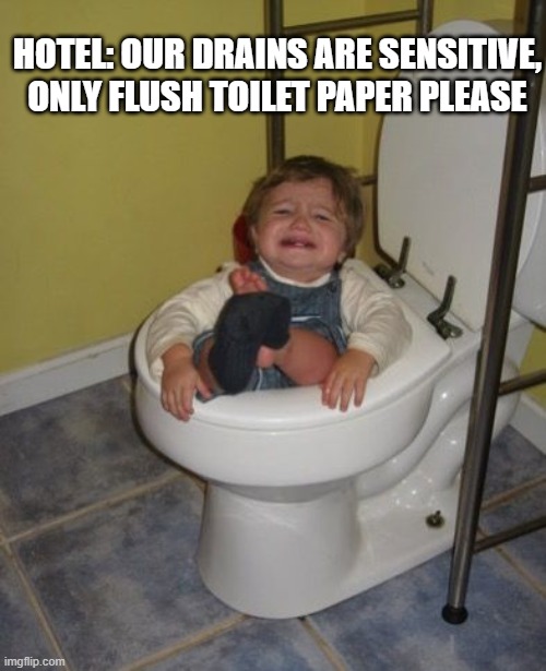 Stuck in the toilet  | HOTEL: OUR DRAINS ARE SENSITIVE, ONLY FLUSH TOILET PAPER PLEASE | image tagged in stuck in the toilet | made w/ Imgflip meme maker