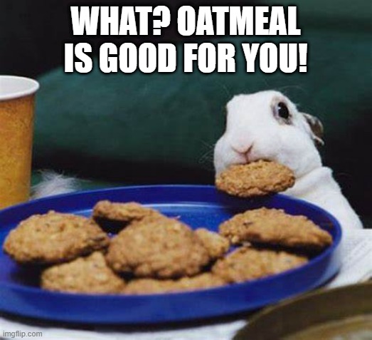 Cookies! | WHAT? OATMEAL IS GOOD FOR YOU! | image tagged in bunny | made w/ Imgflip meme maker