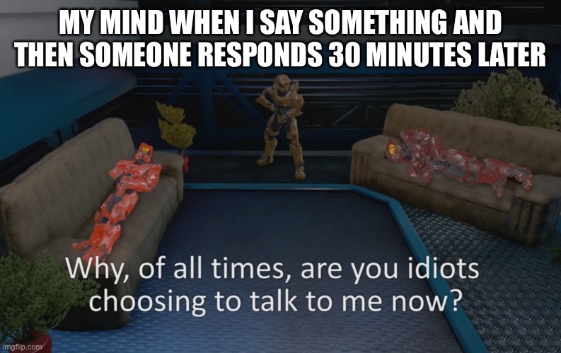 Why of all times are you idiots | MY MIND WHEN I SAY SOMETHING AND THEN SOMEONE RESPONDS 30 MINUTES LATER | image tagged in why of all times are you idiots | made w/ Imgflip meme maker