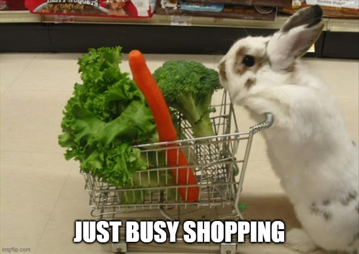 Groceries | JUST BUSY SHOPPING | image tagged in bunny | made w/ Imgflip meme maker