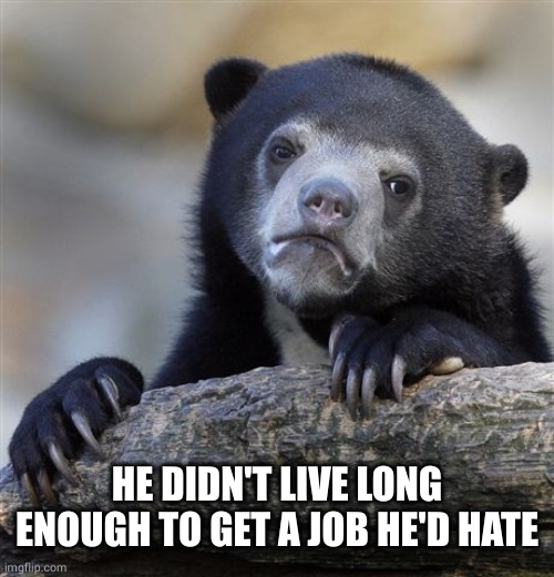 Confession Bear Meme | HE DIDN'T LIVE LONG ENOUGH TO GET A JOB HE'D HATE | image tagged in memes,confession bear | made w/ Imgflip meme maker