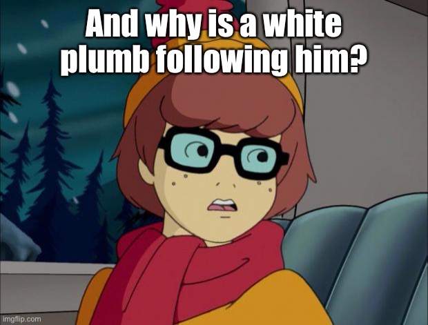 Pedantic Velma | And why is a white plumb following him? | image tagged in pedantic velma | made w/ Imgflip meme maker