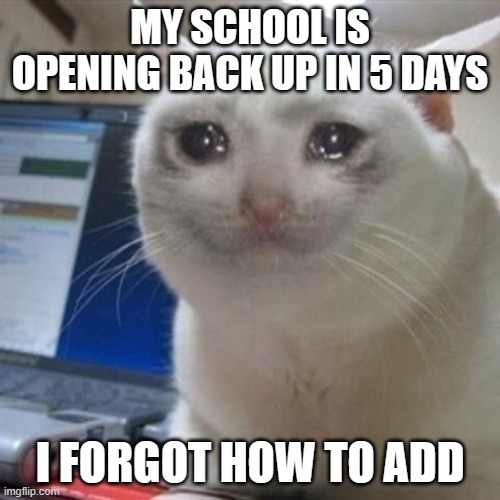 Us humans forget everything they learned | MY SCHOOL IS OPENING BACK UP IN 5 DAYS; I FORGOT HOW TO ADD | image tagged in crying cat | made w/ Imgflip meme maker