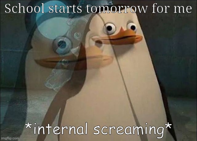 NOOOOOOOOOOOO | School starts tomorrow for me | image tagged in private internal screaming | made w/ Imgflip meme maker