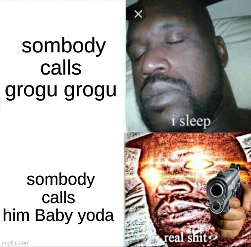 Sleeping Shaq | sombody calls grogu grogu; sombody calls him Baby yoda | image tagged in memes,sleeping shaq | made w/ Imgflip meme maker