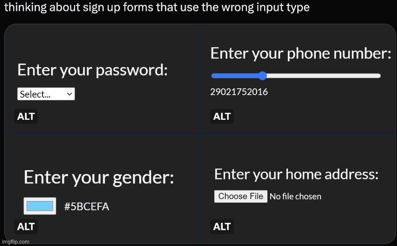wrong input type | image tagged in signup,form,input,you had one job,wrong | made w/ Imgflip meme maker