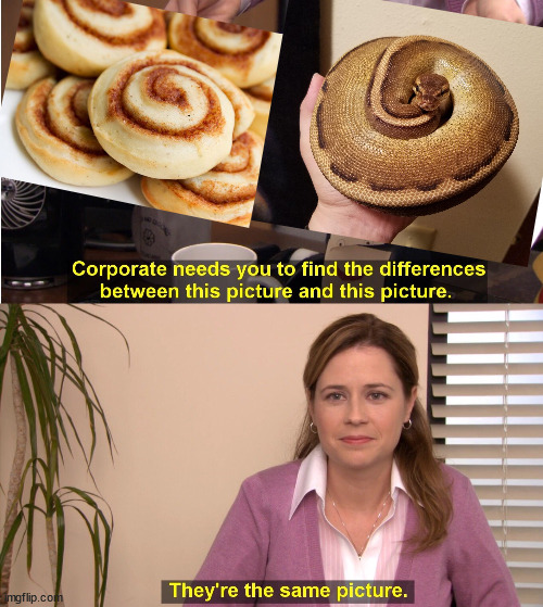 cinnamon bun | image tagged in corporate wants you to find the difference | made w/ Imgflip meme maker