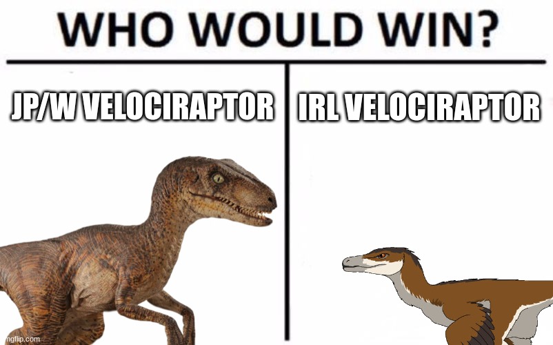 Movie vs Real Life Part 2 | JP/W VELOCIRAPTOR; IRL VELOCIRAPTOR | image tagged in memes,who would win,jurassic park,jurassic world,dinosaur,velociraptor | made w/ Imgflip meme maker