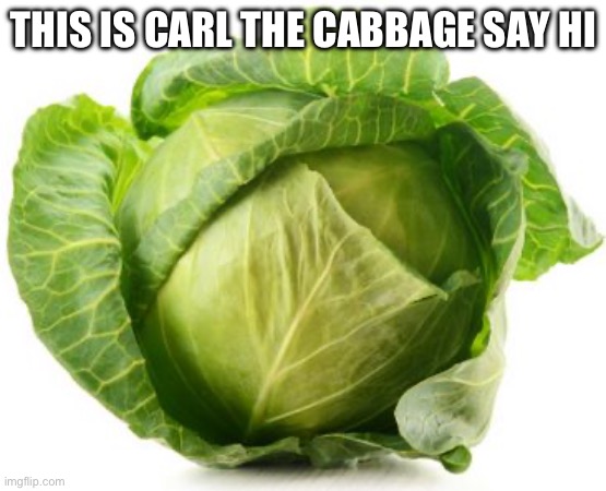 Cabbage | THIS IS CARL THE CABBAGE SAY HI | image tagged in cabbage | made w/ Imgflip meme maker