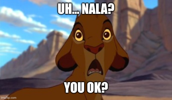 Scared Simba | UH... NALA? YOU OK? | image tagged in scared simba | made w/ Imgflip meme maker