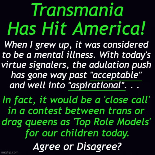 The "Forced TransAgenda" | Transmania 
Has Hit America! When I grew up, it was considered 
to be a mental illness. With today's 
virtue signalers, the adulation push 
has gone way past "acceptable" 
and well into "aspirational". . . ___________; ___________; In fact, it would be a 'close call' 
in a contest between trans or 
drag queens as 'Top Role Models' 
for our children today. Agree or Disagree? | image tagged in politics,liberals vs conservatives,trans,agenda,drag queen,virtue signalling | made w/ Imgflip meme maker