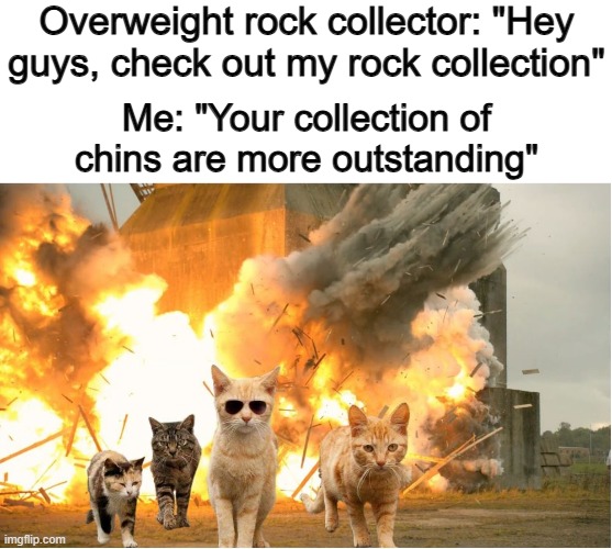 Talk about a burn :O | Overweight rock collector: "Hey guys, check out my rock collection"; Me: "Your collection of chins are more outstanding" | image tagged in cats walking away from explosion | made w/ Imgflip meme maker