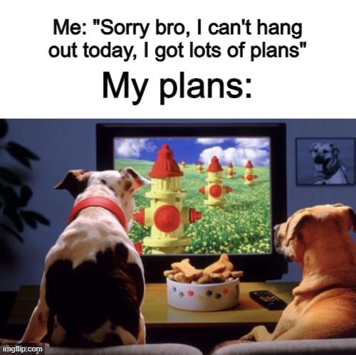 Wouldn't that make me... a fake friend? | Me: "Sorry bro, I can't hang out today, I got lots of plans"; My plans: | made w/ Imgflip meme maker