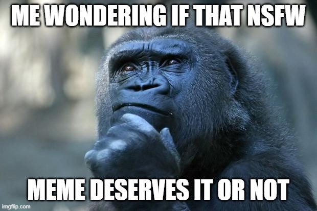 It can be confusing. | ME WONDERING IF THAT NSFW; MEME DESERVES IT OR NOT | image tagged in deep thoughts,memes,funny,relatable,imgflip,nsfw | made w/ Imgflip meme maker
