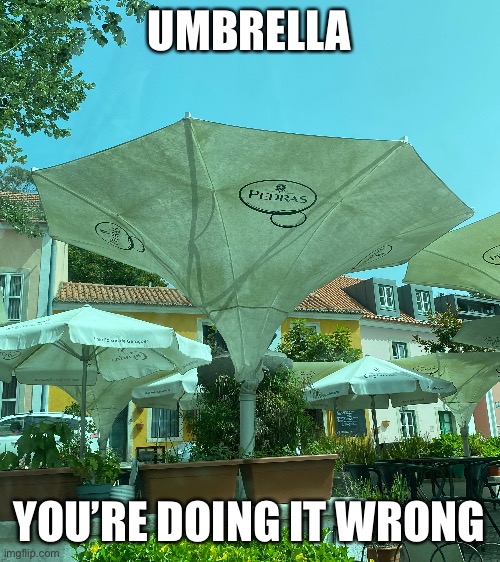 throwing a little shade | UMBRELLA; YOU’RE DOING IT WRONG | image tagged in funny,meme,umbrella,you are doing it wrong | made w/ Imgflip meme maker