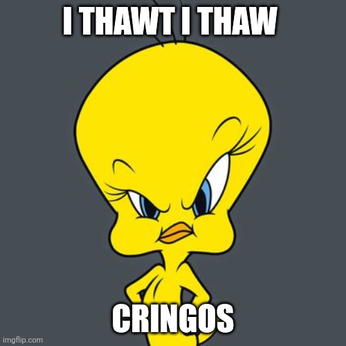 Angry Tweety | I THAWT I THAW CRINGOS | image tagged in angry tweety | made w/ Imgflip meme maker