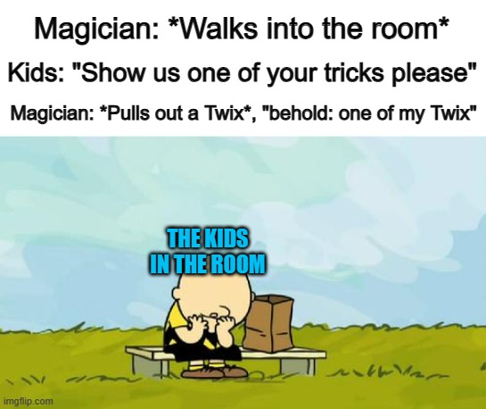 That's surely a big disappointment :1 | Magician: *Walks into the room*; Kids: "Show us one of your tricks please"; Magician: *Pulls out a Twix*, "behold: one of my Twix"; THE KIDS IN THE ROOM | image tagged in depressed charlie brown | made w/ Imgflip meme maker