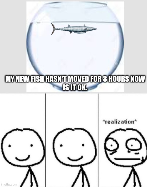 Realization | MY NEW FISH HASN'T MOVED FOR 3 HOURS NOW
IS IT OK. | image tagged in realization | made w/ Imgflip meme maker