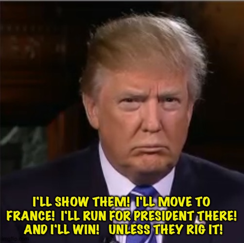 President?  I can be Emperor! | I'LL SHOW THEM!  I'LL MOVE TO FRANCE!  I'LL RUN FOR PRESIDENT THERE!  AND I'LL WIN!   UNLESS THEY RIG IT! | image tagged in donald trump sulk | made w/ Imgflip meme maker