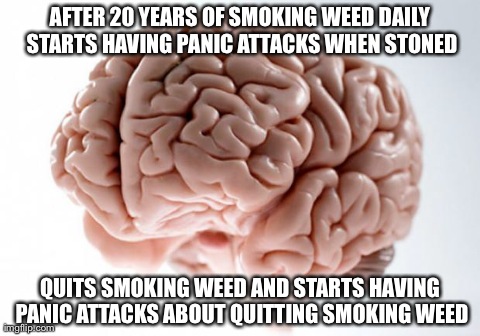Scumbag Brain | AFTER 20 YEARS OF SMOKING WEED DAILY STARTS HAVING PANIC ATTACKS WHEN STONED QUITS SMOKING WEED AND STARTS HAVING PANIC ATTACKS ABOUT QUITTI | image tagged in scumbag brain | made w/ Imgflip meme maker