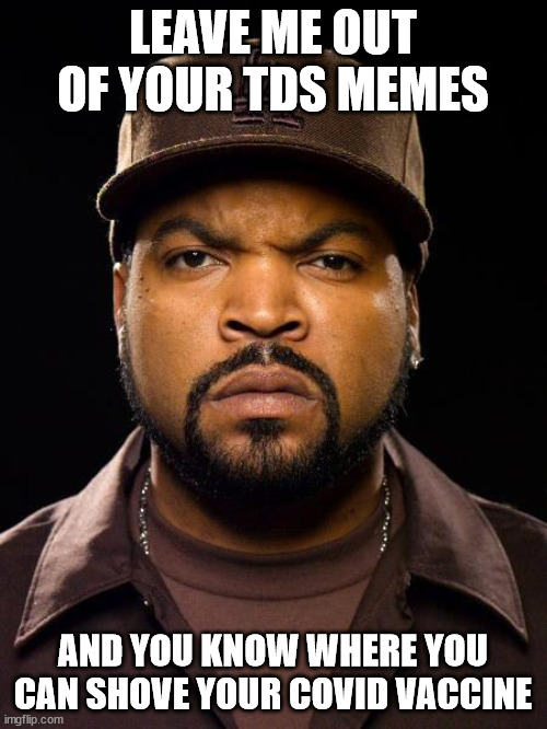 Ice Cube | LEAVE ME OUT OF YOUR TDS MEMES AND YOU KNOW WHERE YOU CAN SHOVE YOUR COVID VACCINE | image tagged in ice cube | made w/ Imgflip meme maker