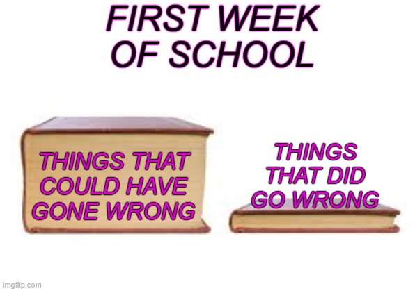 Taking all the W's we can | FIRST WEEK OF SCHOOL; THINGS
THAT DID
GO WRONG; THINGS THAT
COULD HAVE
GONE WRONG | image tagged in big book small book,school,first day of school,disaster,surprise | made w/ Imgflip meme maker