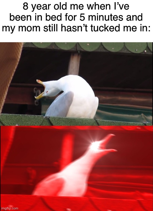 MOOOOOOOMM | 8 year old me when I’ve been in bed for 5 minutes and my mom still hasn’t tucked me in: | image tagged in screaming bird,memes,funny,funny memes | made w/ Imgflip meme maker