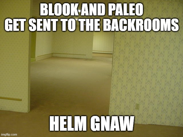 Backrooms.mp3 | BLOOK AND PALEO GET SENT TO THE BACKROOMS; HELM GNAW | image tagged in the backrooms | made w/ Imgflip meme maker