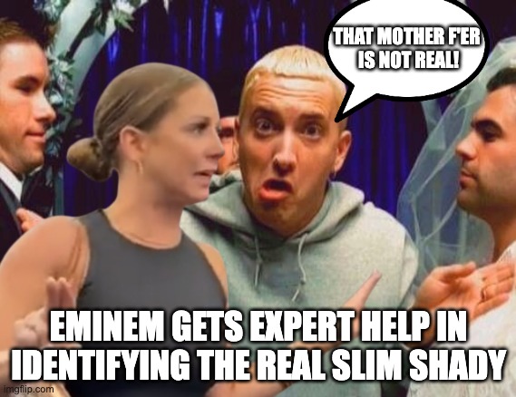 Will the Real Slim Shady Stand Up? | THAT MOTHER F'ER
 IS NOT REAL! EMINEM GETS EXPERT HELP IN IDENTIFYING THE REAL SLIM SHADY | image tagged in memes,funny memes,eminem,slim shady | made w/ Imgflip meme maker