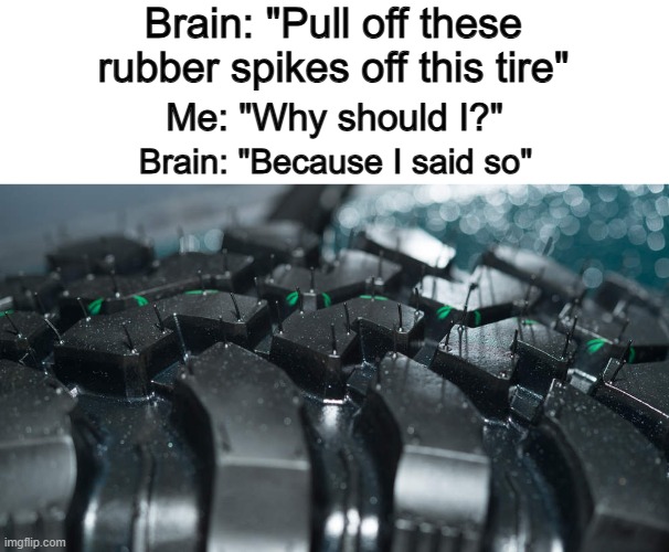 I would be surprised to find someone that doesn't relate to this... | Brain: "Pull off these rubber spikes off this tire"; Me: "Why should I?"; Brain: "Because I said so" | image tagged in sunglass doge | made w/ Imgflip meme maker