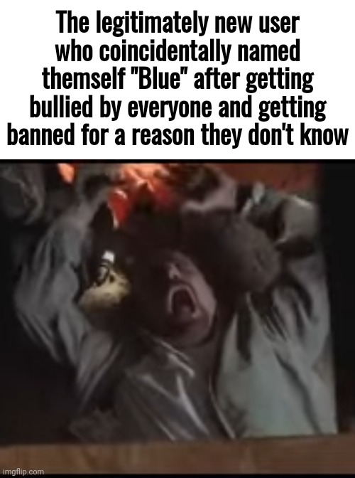 What if this does happen at some point | The legitimately new user who coincidentally named themself "Blue" after getting bullied by everyone and getting banned for a reason they don't know | image tagged in walter white laughing,walter white dying | made w/ Imgflip meme maker