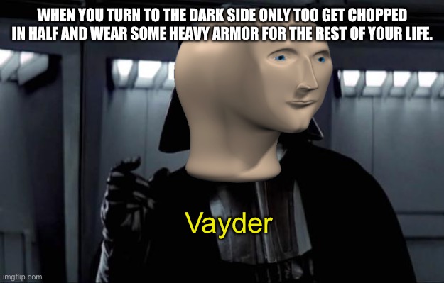 Hmm yes | WHEN YOU TURN TO THE DARK SIDE ONLY TOO GET CHOPPED IN HALF AND WEAR SOME HEAVY ARMOR FOR THE REST OF YOUR LIFE. Vayder | image tagged in darth vader | made w/ Imgflip meme maker