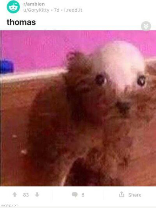 made w/ Imgflip meme maker
