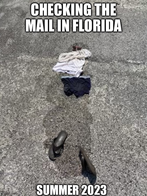 FL summer heat | CHECKING THE MAIL IN FLORIDA; SUMMER 2023 | image tagged in heatwave,florida,summer,meanwhile in florida,melting | made w/ Imgflip meme maker