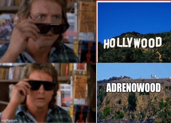 They live sunglasses | image tagged in they live sunglasses,politics lol,memes | made w/ Imgflip meme maker