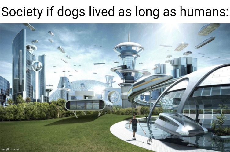 If only... | Society if dogs lived as long as humans: | image tagged in memes,the future world if,dog | made w/ Imgflip meme maker