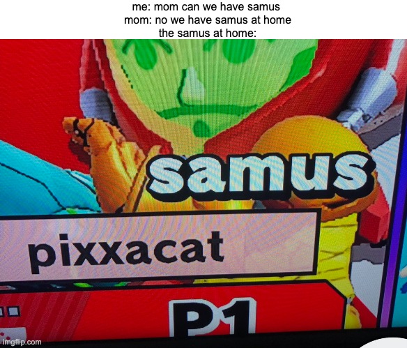 i made a mii of this only to make this joke | me: mom can we have samus 
mom: no we have samus at home
the samus at home: | made w/ Imgflip meme maker