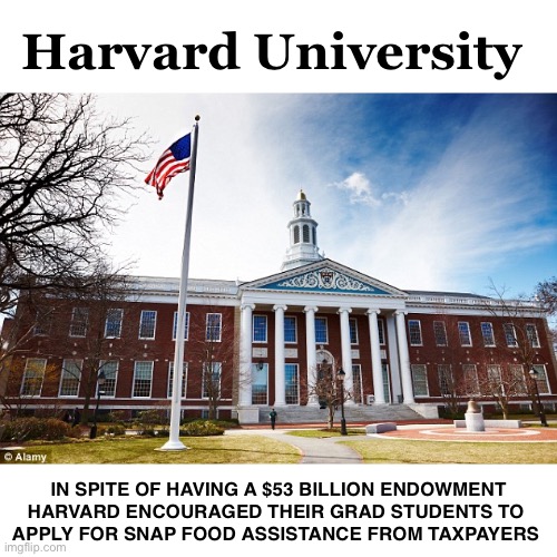 Harvard’s gone from Affirmative Action to Welfare | Harvard University; IN SPITE OF HAVING A $53 BILLION ENDOWMENT
HARVARD ENCOURAGED THEIR GRAD STUDENTS TO 
APPLY FOR SNAP FOOD ASSISTANCE FROM TAXPAYERS | image tagged in harvard university | made w/ Imgflip meme maker