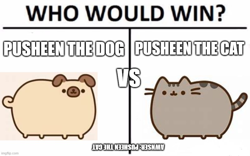 Awnser on the bottom upside-down | PUSHEEN THE CAT; PUSHEEN THE DOG; VS; AWNSER: PUSHEEN THE CAT | image tagged in memes,who would win | made w/ Imgflip meme maker