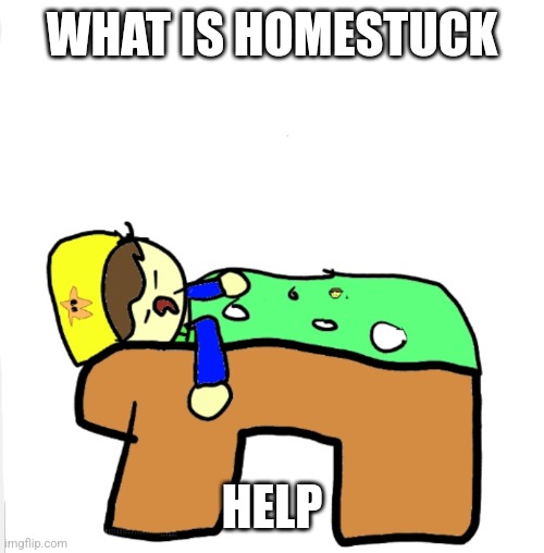 . | WHAT IS HOMESTUCK; HELP | made w/ Imgflip meme maker