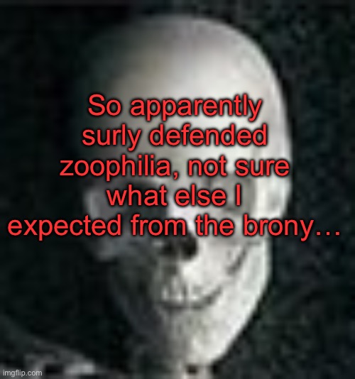 Not even sure why I was surprised | So apparently surly defended zoophilia, not sure what else I expected from the brony… | image tagged in skull | made w/ Imgflip meme maker