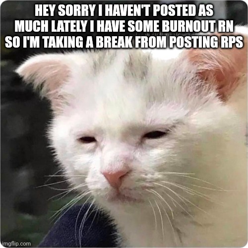 Sory | HEY SORRY I HAVEN'T POSTED AS MUCH LATELY I HAVE SOME BURNOUT RN SO I'M TAKING A BREAK FROM POSTING RPS | image tagged in tired cat | made w/ Imgflip meme maker