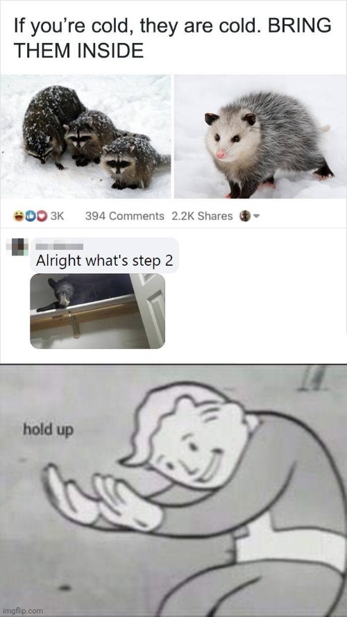 Meme #3,095 | image tagged in fallout hold up,memes,bears,cold,winter,raccoon | made w/ Imgflip meme maker