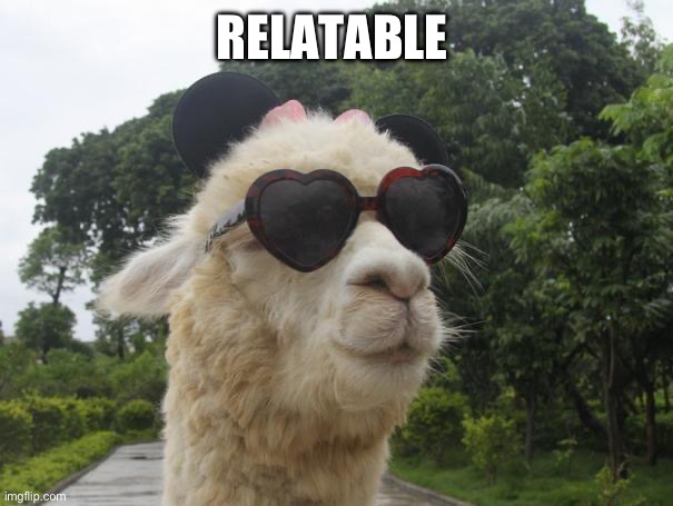 cool llama | RELATABLE | image tagged in cool llama | made w/ Imgflip meme maker