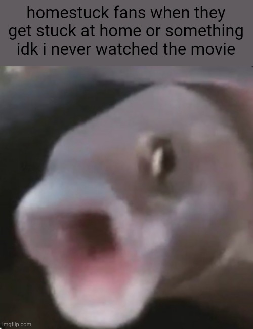 Poggers Fish | homestuck fans when they get stuck at home or something idk i never watched the movie | image tagged in poggers fish | made w/ Imgflip meme maker