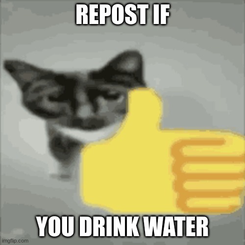 cat thumbs up | REPOST IF; YOU DRINK WATER | image tagged in cat thumbs up | made w/ Imgflip meme maker