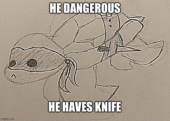 Be careful he dangerous | HE DANGEROUS; HE HAVES KNIFE | image tagged in tortle | made w/ Imgflip meme maker