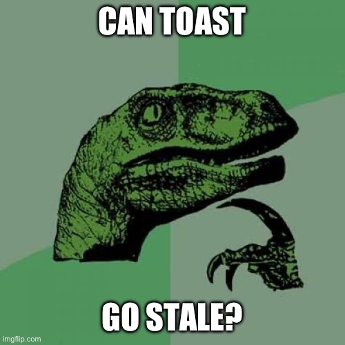 bread does, what about toast? | CAN TOAST; GO STALE? | image tagged in memes,philosoraptor | made w/ Imgflip meme maker