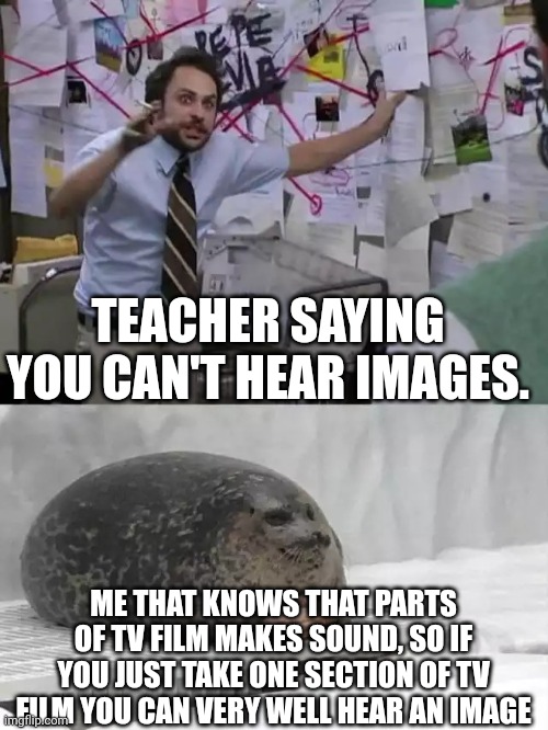 TV film disproves teachers. | TEACHER SAYING YOU CAN'T HEAR IMAGES. ME THAT KNOWS THAT PARTS OF TV FILM MAKES SOUND, SO IF YOU JUST TAKE ONE SECTION OF TV FILM YOU CAN VERY WELL HEAR AN IMAGE | image tagged in man explaining to seal | made w/ Imgflip meme maker